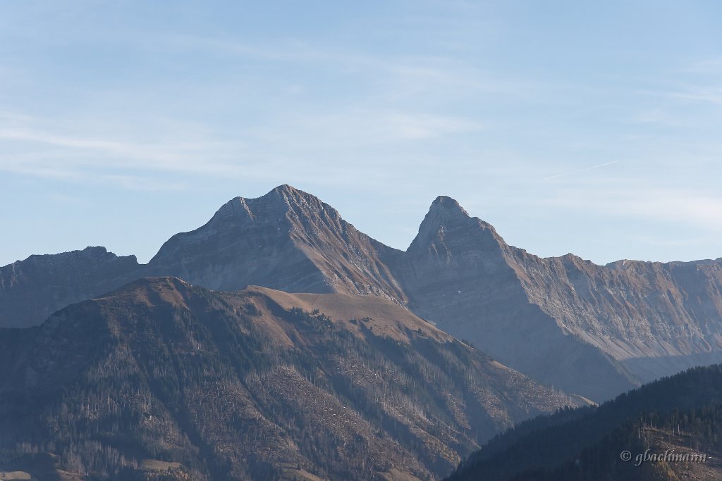 20081026_263